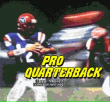 Image n° 1 - screenshots  : Pro Quarterback